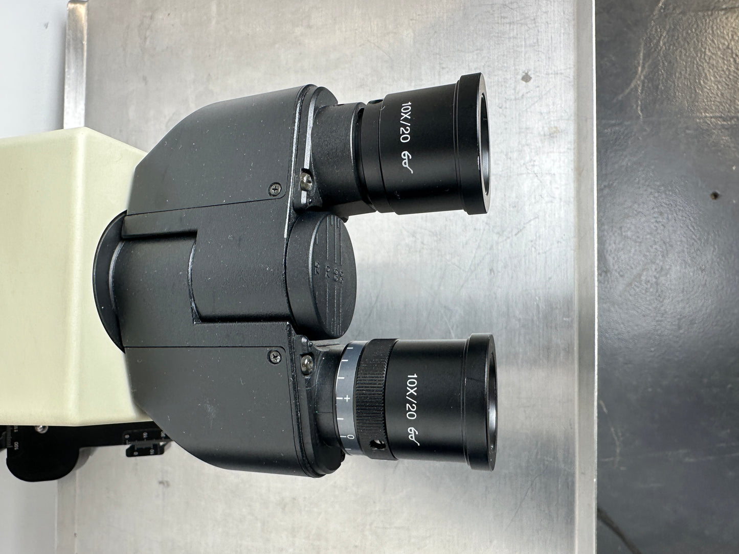 Olympus Mikroskop CX31 RBSF