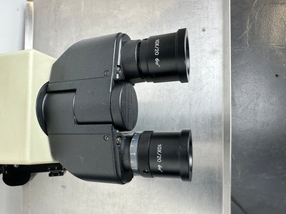 Olympus Mikroskop CX31 RBSF